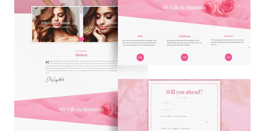 sweet-sixteen-demo-website-pic1.webp